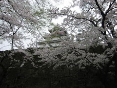 東北４県櫻見物（スペインポルトガル　テロでの振替）