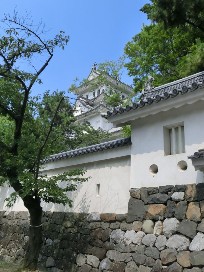 海の日の3連休。土曜日半日仕事をしてから支度して出かけました、<br />伊丹空港から、箕面の滝のライトアップ、京の夏の旅は島原の角屋と輪違屋の特別公開、醒ヶ井の梅花藻、奥の細道結びの地の大垣、蓮の花と輪中の木曽三川公園、千代保稲荷と廻って、各駅停車7時間乗り継いで月曜日23時に帰って来ました。<br />地名的にはかなり地味ですが、なかなか興味深いところを廻れたと思います。<br />珍しく時間に余裕が有ったので、途中であれこれ買い物もして、帰りの荷物が大変な事になりました。<br /><br />此処では宿泊地大垣の様子を載せます。