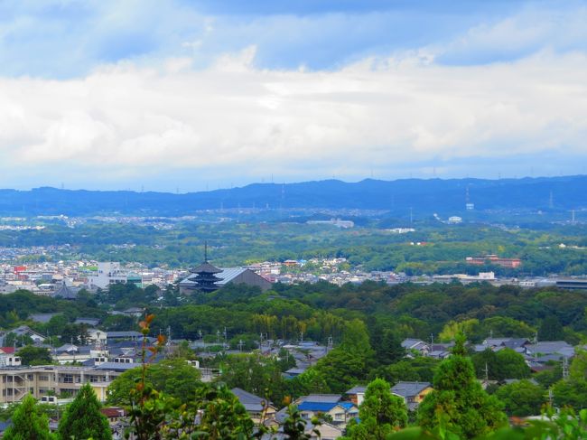 なら燈花会点灯まで寺社めぐりでもとを思い、駅前で何処にするか思案中<br />仏像のある寺へ、それも初めて行く所（寺）<br />スマホで検索して、山の邊の道に決定　高畑まで市バスを利用して後は徒歩<br />それ行けぇ～<br /><br />白亳寺～新薬師寺～春日大社～興福寺までの山の邊の道をブラ～リ<br /><br /><br /><br /><br />表紙　　　　　　　　　　　　　　　　　　高円山山麓から奈良市内を一望