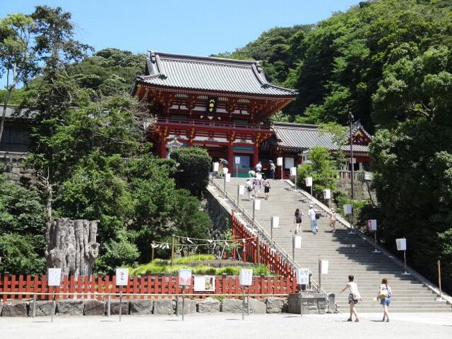 毎日暑いので外出をひかえているのですが所用があり鎌倉まででかけることになりました。用を済ませてさっさと帰るがつもりでしたが鶴岡八幡宮でちょうど「ぼんぼり祭」が始まったと聞いていたので見てきました。