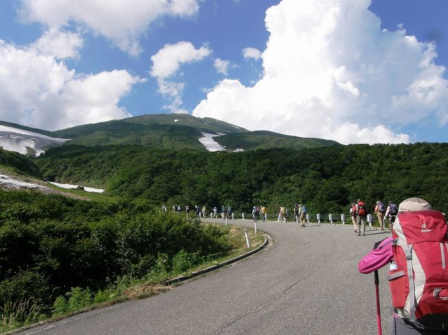 新しい山の会に入会して初めての山行に参加させてもらったのが鳥海山でした。<br /><br />私にとっては、鳥海山は４・５回目の登山ですが花の開花期で今回が一番ベストだったので花を中心として旅記を作成し最後に花の特集記の５編にまとめたいと思います。<br /><br />花の鳥海山に登る・・・<br /><br />１日目・久喜市から遊佐町・鳥海山荘で入浴してから湯の台コース入 <br />山・滝の小屋まで<br />２日目・①滝の小屋から湯の台コースで河原宿・大雪渓・薊坂・伏拝岳まで<br />　　　　②伏拝岳より行者岳・七高山・鳥海山（新山）・御室小屋まで<br />３日目・御室小屋から像潟口コースで千蛇谷から七五三掛・御浜小屋・賽の<br />河原・鉾立山荘・温泉あんぽ西浜で入浴・久喜市<br />特 集・鳥海山登山で見た登山コース上に咲く花達♪