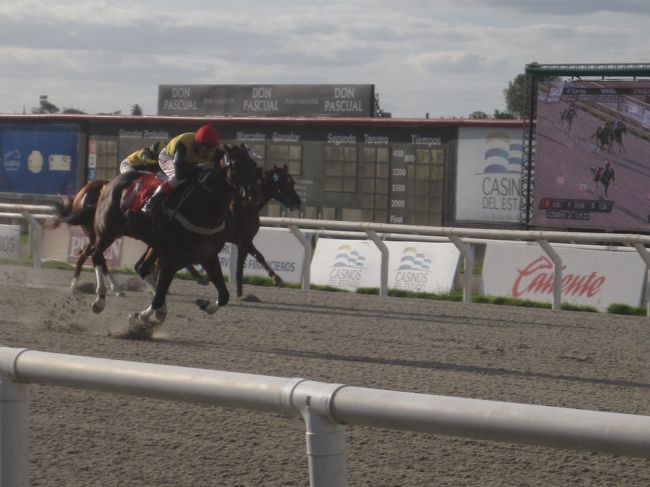 モンデビデオでのメインはマローニャス競馬場！<br />市街の北側に競馬場があり、中心部からバスで行けます。<br /><br />雰囲気としては他の南米の競馬場と同様にけっこうきれいで落ち着いた感じ。<br />午後遅めから始まるナイター開催です。