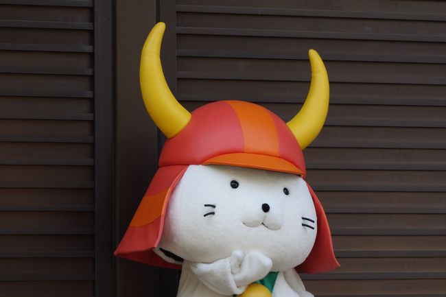 ゆるキャラブームの火付け役、ひこにゃんの故郷:彦根を訪問です。<br /><br />井伊家2代目直孝が、豪徳寺にある木の下で雨宿りを<br />していた時、手招きしている白猫を目にします。<br />直孝が白猫に歩み寄った瞬間、雨宿りしていた木に雷が落ち、<br />難を逃れたのは白猫のおかげと、豪徳寺を菩提寺にしたそうです。<br /><br />この白猫が、ひこにゃんの由来だそうです。<br />井伊家由来のネコと言う事で、井伊家の赤備えの兜を被っています。<br /><br />豪徳寺は、白猫のおかげで多くの寄進を受けた事もあり、<br />白猫が死んだ後、和尚さんがネコのお墓を建てて祀ったそうです。<br />のちに右手を上げている招福猫児(まねぎねこ)が作られるようになり、<br />これが現在の招き猫の由来の一つとなっているそうです。