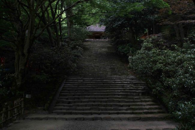 まだ石楠花の頃の第二段投稿も終わっていないのに夏の室生寺の先行投稿です。土門の愛した山気がジーンとする室生寺とはどんなものなのか探ってみました。写真は画像処理をして人工物を排除していることがあります。人工物のない土門が愛した昭和の時代の室生寺をお楽しみください。<br />当日の動画　たしかに山気がジーンとする盛夏の雨の日です。<br />http://youtu.be/ujTvxoBtbNw?list=UUxm2rrJNCexJvaEAgpjzing<br />夏の雨の日　奈良県宇陀市の室生寺に行く。土門拳が好んだ室生寺。　ドキュメント、人物、古美術、建築、風景、そのいずれにも忘れがたい作品を残し、日本の写真史に巨歩を記した土門拳。そのなかでも土門のライフワークとなった「古寺巡礼」は、1939年の暮れに室生寺を訪ねたことから始まりました。奈良県の山間にひっそりと建つこの美しい寺は、平安時代初期の木彫仏（弘仁仏）の宝庫であり、土門はひと目で魅了されます。<br />　今回も、以下のこの文を読み訪れました。<br />土門の「室生寺ひとむかし」によれば、１９４６（昭和２１）年初夏、土門は荒木良仙住職と語り合い、老師に四季の中でどの季節の室生寺が一番美しいかとたずねた時、「全山白皚々たる雪の室生寺が第一等であると思う」と答えた。土門は雪の室生寺を知らず、蝉時雨の降るような青葉の室生寺が、一番好きだった。室生寺ぐらい山気がジーンと肌に迫るところはなかったのである。<br /><br />　この通り蝉時雨をあてにしたが、蝉は雨で鳴かず、雨の情緒ある室生寺が残った。それはそれで美しい光景であった。まさに山気がジーンとするような大木の間にある室生寺。これは素晴しいです。