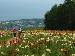 初夏の北海道　花の玉手箱　４日目　春香山ゆり園へ　下