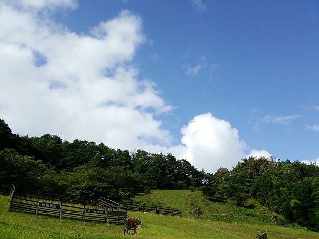 母の故郷へどうしても子どもたちを連れて行きたかったんです。<br />やっと願いかなって連れて行けました♪