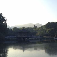 朝の奈良公園散歩