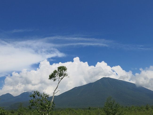 (写真は奥日光戦場ヶ原と男体山）<br /><br />　今日から最初の夏休み、ただこの４日間台風の影響でいつ雨が降ってくるかわからない。　そこで普段あまり行かない中禅寺湖北岸を千手ケ浜まで、また逆川、裏見の滝、戦場ヶ原東部の開拓農地などを歩くことにする。　<br /><br />新しい発見もあった。　ひとつは二荒山中宮祠から菖蒲が浜に至る中禅寺湖北岸は、大使館別荘が並ぶ南岸と同じようにかつては西欧人の別荘が並んでいたということ。　かの長崎グラバー邸で知られるグラバーさんも別荘を構えていたのだ。　またこのあたり一帯はすべて火山岩で覆われていると思っていたが、湖北岸の「高山」は秩父古生層に属する花崗岩帯であったこと。　さらに外部から遮断されたような戦場ヶ原東部一帯の開拓農地の存在など・・・<br /><br />まだまだ日光の奥は深い<br /><br />　・ハチを撮る構えた指に止まる蜂　　　　＜一刺し指＞<br /><br />　・静けさは煩さの隣りにありて想うもの　　＜千手＞