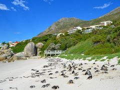 2014・南アフリカ「世界三大瀑布制覇！！」の旅　ドイカー島＆ボルダーズビーチ編