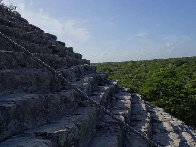 カンクン近郊には登れるピラミッドが2つある。<br /><br />一つは去年登ったエクバラム遺跡とここ、コバ遺跡群の中にある「ノホック・ムル」のピラミッドの2つだけ。<br /><br />今回のこのコバ遺跡のハイライト。<br />マヤ最高峰に匹敵するピラミッドに登ります。<br /><br /><br />