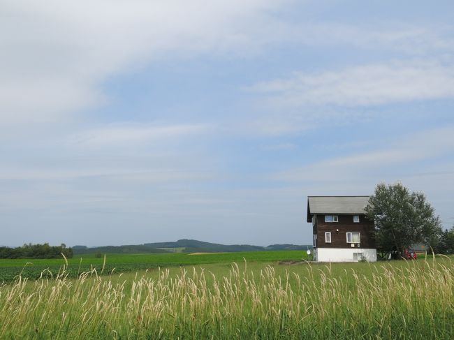 今年の夏休みはどこに行こうか。<br />去年は子供が生まれる時期と重なったからどこにも行かなかったけど、今年はその分少し羽根を伸ばしたいなぁ。<br />でも子供はまだ1歳にもなってないから長期での海外旅行は不安があるなぁ。<br />などと考えた結果、今年の夏休みはレンタカーを借りての北海道周遊旅行5泊6日の旅に決定。今回はその第２日目の旅行記です。<br /><br />2日目はいよいよ本格的な北海道観光の開始です。元々の予定では旭山動物園に行こうと思っていたのですが、天気予報を見ると次の日から天気は下り坂の様相。そこで3日目に訪問予定だった美瑛を2日目に繰り上げることにしました。やっぱり美瑛は青空の下で訪れたいからね。<br />そして美瑛に行ったらどうしても行きたいと思っていた青い池も訪問してみました。その神秘的な水の色にとても癒されましたよ。<br />2日目の宿泊地は旭岳温泉の湧駒荘。日本秘湯の会の宿でもある山の上の宿の温泉は最高でした♪<br /><br />◆本日の旅程<br />9：00　札幌出発<br />11：30　美瑛着（昼食はあるうのぱいん）<br />12：30　パッチワークの路をドライブ（様々なフォトジェニックな風景に出合いました）<br />15：00　青い池（一見の価値ありの神秘的な池）<br />16：30　旭岳温泉湧駒荘（5つの源泉を有する温泉宿）