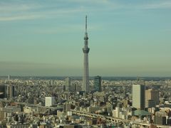 東京、美味しいもの巡り。そして神社も巡りたい