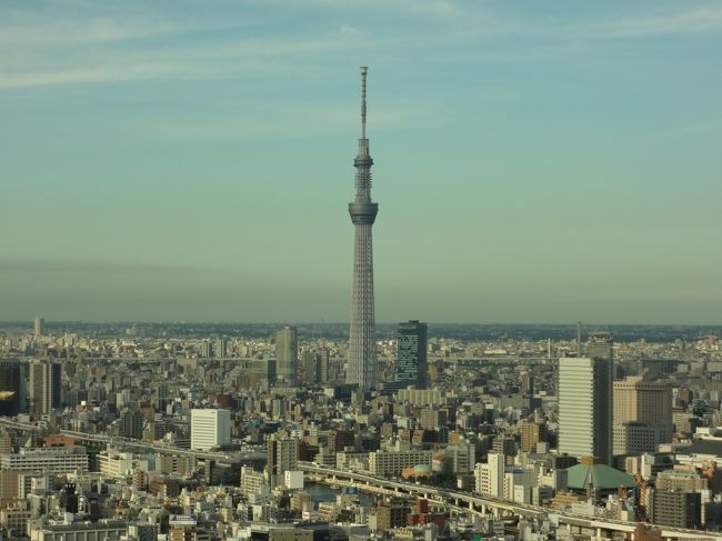 今回は宝塚観劇の合間を縫って東京を楽しんじゃおうという企画<br />色々やりたい事があるけど今回は食を楽しむのがメインという事で<br />その合間に神社巡りをしました。<br />食も一日目は体に優しいものを、二日目も一応気を使って・・・<br />三日目は心を満たす（笑）いや、身体にいいものも満たされるけどね。。<br />たまにはジャンクなものも・・・（といってもスイーツ系）<br /><br />今回巡った神社は<br />◎芝大神宮<br />◎大宮八幡神社<br />◎氷川神社（大宮）<br /><br />行った飲食店<br />●野菜の王様（日比谷）<br />○マンダリンオリエンタル（アフタヌーンティー）<br />●チャヤマクロビオティック<br />○レインボーローフード<br />●ビルズ（原宿）<br />