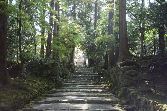 滋賀訪問2014④（湖東三山：西明寺・金剛輪寺・百済寺）