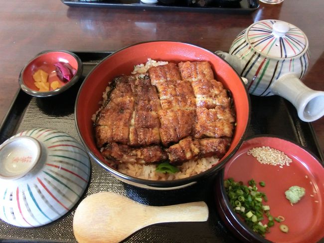 美味しい鰻を食べたい！<br />との思いから、浜松へ行きました。<br />浜松市楽器博物館や浜名湖などに寄っています。