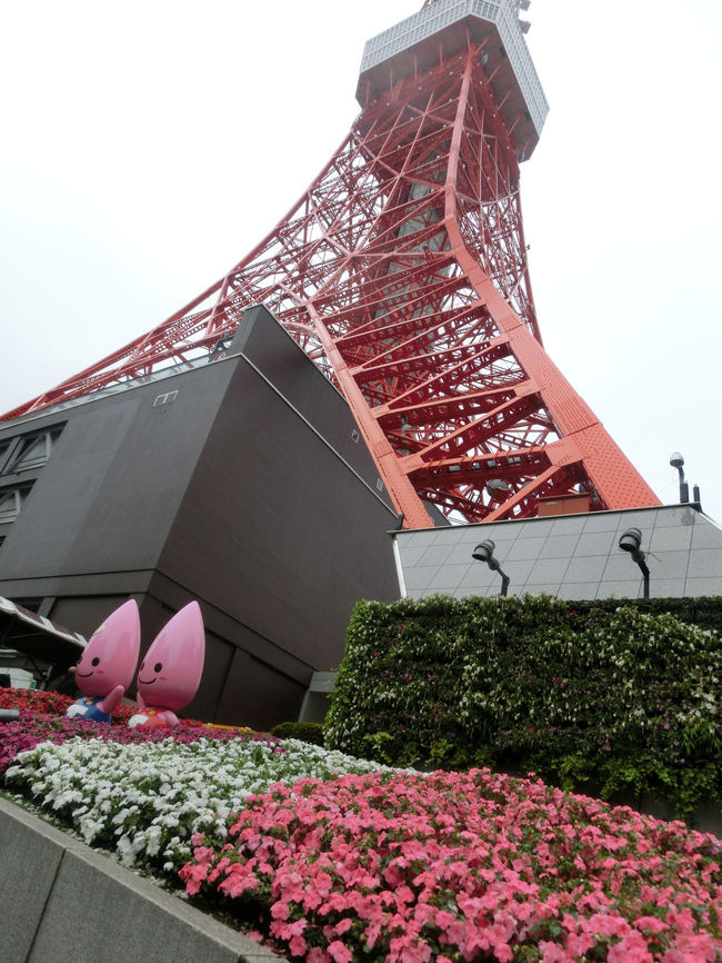 とある家庭内イベントで、ちょっと豪華なお寿司をいただき<br />東京プリンスホテルで1泊して<br />増上寺と東京タワーに行きました。<br />天気が良ければ東京タワーのハイボールガーデンに行きたかったのですが<br />あいにくのお天気で断念しました。