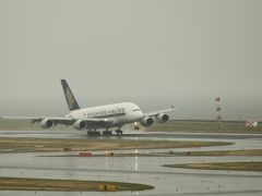 A380がセントレアにやって来た！