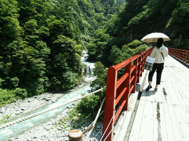 今年の夏も白骨温泉に行くことにしましたが、毎回、白骨温泉＆上高地では能が無いので新たに他の観光地とのセットができないものかと考えた結果、今回は、富山県と長野県を巡る旅にしてみました。こんなセットもあるんだなと参考になれば・・・です。<br />１日目　大阪⇒富山⇒黒部（宇奈月温泉泊）<br />２日目　黒部峡谷めぐり⇒奥飛騨⇒白骨温泉（白骨温泉泊）<br />３日目　白骨温泉⇒松本⇒大阪<br />今回は車で巡ったのでとにかく時間がかかりました。<br /><br />白骨温泉８回目の旅です。