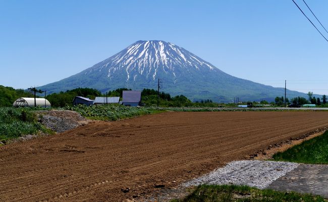 2014.5札幌出張・ニセコへドライブ3-羊蹄山の雄姿，道の駅ニセコビュープラザ，茶房ヌプリ，ニセコパノラマライン