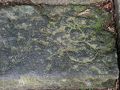 羽黒・余目の旅行記
