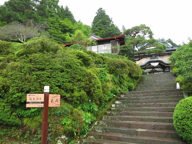 夏休みの旅行、今年は近場で箱根。昨年できた岡田美術館を見学。<br />宿は明治創業の老舗旅館、小涌谷にある三河屋旅館。<br />二日目は強羅の箱根美術館から、センター北まで直行バスがある御殿場プレミアム・アウトレットまで足を伸ばしました