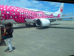 2014年　ＪＡＬｸﾞﾙｰﾌﾟ（ＪＴＡ　日本トランスオーシャン航空）　特典航空券の旅　沖縄旅行①