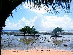 ミクロネシアでホームステイ。【コスラエ】の旅（5）～超ワイルドなウナギ漁