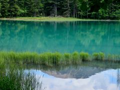 自然を満喫する夏の北海道16日間の旅　（１０）阿寒国立公園へ　～オンネトー、摩周湖、そして屈斜路湖の雲海～