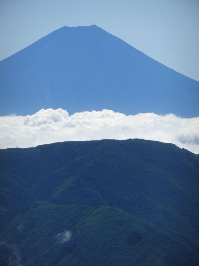 6日宿泊した聖平小屋を出発して小聖岳（2662ｍ）に、途中の登山道から富士山が良く見え、眺めながら聖岳・前聖岳（3013ｍ）へ、更にチングルマのお花畑を歩いて奥聖岳（2978.3ｍ）まで行きました。<br /><br />前聖岳では何人かの登山者がいましたが、奥聖岳にはわれわれだけでした、奥聖岳からは昨年登った荒川三山と泊まった赤石小屋が良く見え思い出しました。<br /><br />奥聖岳からは登ってきた登山道を戻り、聖平小屋へ、途中、お花を見ながらのんびりと下りました、1時前に小屋に到着してゆっくり。<br /><br />6日は1日中天候に恵まれました、小聖岳から奥聖岳まで周辺の山々を眺めながら快適に歩くことが出来ました。<br /><br /><br />