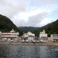 新鮮な海の幸が食べたい！