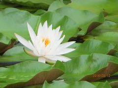 奈良・古代天皇陵墓・古墳をチャリでブラブラ（２）（製作中）