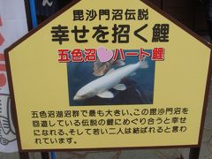 725	「毘沙門沼のハートマークの鯉」　福島県耶麻郡北塩原村桧原剣ケ峯