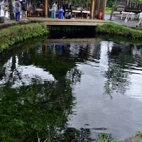 20年ぶりの富士急ハイランド [前編] 忍野八海に落胆編