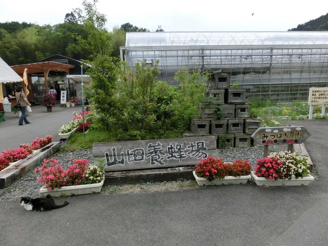 かねてから妻に行ってみたいと言われていた岡山県鏡野市にある山田養蜂場へ行ってきました。<br />一度行ってみたなら、『こんな所だったんだ』と、それほどの感想もなかったんですが、自宅への帰り道に養蜂場の方に教えていただいた津山市にある花とコーヒーの店は魅力的な所でした。