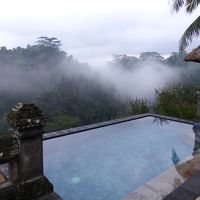 ウブドゥでバグースな楽園体験　Bali Ubud 
