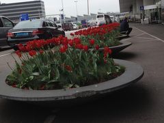 春のオランダ弾丸ツアー（ちょこっとドイツ）５