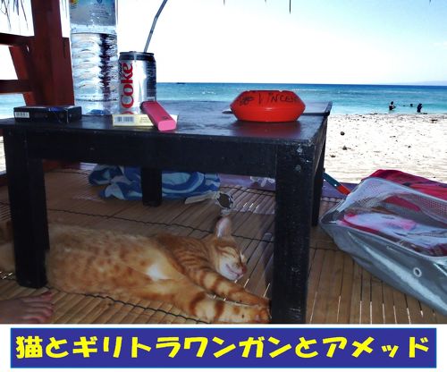猫とギリトラワンガンとアメッド』ロンボク島(インドネシア)の旅行記