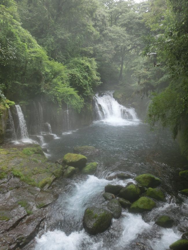 　せっかくレンタカーを借りたので、なかなか行けないだろう場所・・・という理由だけで「菊池渓谷」に行くことに。<br /><br />　滝の力でしょうか？<br />　ある場所、地点を境に急に気温が下がり、とても心地よく、深呼吸をしたくなるような空気に包まれてご機嫌になりました。<br /><br /><br />　今年は何度か台風が直撃したようで、入口付近しか観ることはできなかったけれど、ココはかなりオススメの場所ですね。