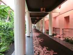 ハワイアン航空で行く　ちょっと蒸し暑かったHAWAII 2014 その 6/7