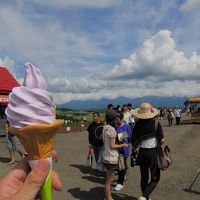 北海道　石炭遺産とお水取りの旅その２・・・（美瑛ドライブ編）