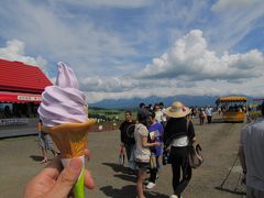 北海道　石炭遺産とお水取りの旅その２・・・（美瑛ドライブ編）