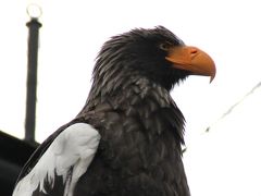 2014春　北海道旅行（3）旭川動物園編