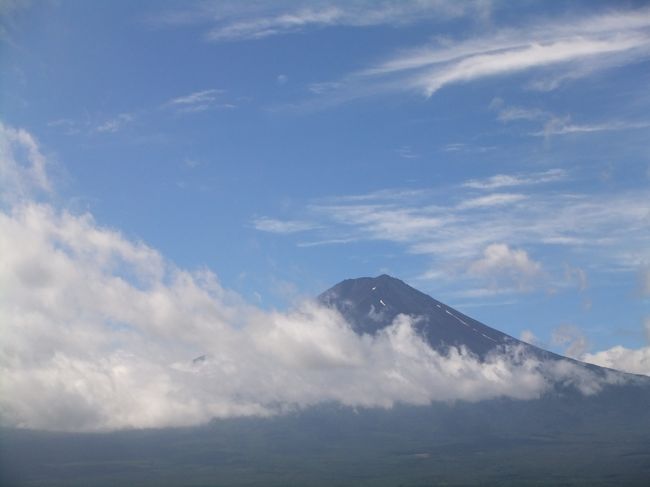 2日目は、かちかち山から富士山を、河口湖の河口湖遊覧船アンソレイユ号から湖畔を眺望しました。