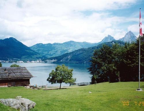 1940年7月25日 リュトリの誓い 中立を守るために 砂布巾のｌｗ 第４章６ その他の観光地 スイス の旅行記 ブログ By 砂布巾さん フォートラベル