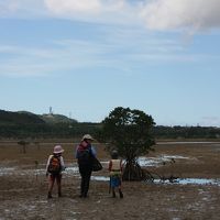 子連れ★家族できれいな海と自然満喫★八重山列島めぐり西表島＆波照間＆石垣＆沖縄本島③