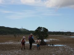 子連れ★家族できれいな海と自然満喫★八重山列島めぐり西表島＆波照間＆石垣＆沖縄本島③