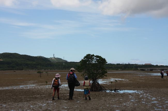 旅行記③は4泊した西表島です。表紙写真は、潮がひいて歩けるようになったマングローブの森。干潟はじめて歩いたよ。見たことがない別世界!<br />1泊は星野リゾートニラカナイ、3泊はニライナリゾートに宿泊しました。<br /><br /><br />・・・・・・・・・・・・・・・・・・・・・・・・・・・・・・・・・<br />2013年8/1~8/10までの家族旅行、沖縄。<br />去年は日本の最北端に行ったから、今年は最南端に行こう!というのがきっかけ。<br />我が家の今回の旅のテーマと「沖縄ならではの美しい海や植物、星空、自然を家族で満喫したい!」ということ。感動をいっぱいして、全身で感じるってステキ。<br /><br />そして子どもたちには、自分たちの住んでいる「日本」が長い長い列島であることを感じてほしい、同じ夏だけど、北海道と沖縄の気候の違いや特色を肌で感じてほしい、楽しい沖縄だけれど悲しい戦争の犠牲になったこと、ビーチリゾートとしての沖縄以外の面を知ってほしい、親としてはそんな願いもこめて企画。<br /><br />沖縄本島1泊、石垣1泊、波照間島2泊、西表島4泊しました♪<br />お天気に恵まれ、最高な沖縄旅行でした。<br /><br />