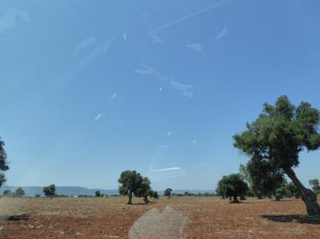 7月9日〜28日の18泊20日、南イタリアへ行きました♪<br />世界遺産の風景、美しい島やビーチ、白い街並み、果てしなく続くオリーブ畑、煌めく海岸、バロック街並み、数多の優雅な城、美味しいグルメを楽しんできました♪<br />訪れたのは、ナポリ、ポンペイ、エルコラーノ、ビエステ、ペスキチ、ヴィーコ・デル・ガルガーノ、トレミティ諸島（サン・ニコラ島+サン・ドミノ島）、ポリニャーノ・ア・マーレ、カステッラーナ・グロッテ、モノポリ、オストゥーニ、チステルニーノ、ロコロトンド、アルベロベッロ、マルティナ・フランカ、チェーリエ・メッサーピカ、ブリンディジ、オーリア、ターラント、フランカヴィッラ・フォンターナ、カロヴィニョ、レッチェ、ガラティーナ、ポルト・チェザーレオ、コリリアーノ・ドトラント、オートラント、レウカ、アレッサーノ、スペッキア、ソレート、ナルド、ガリポリ、トッレ・ア・マーレ、バーリ、カステル・デル・モンテ、アンドリア、トラーニの３７か所へ行きました。<br />宿泊地はナポリ、ビエステ、ポリニャーノ・ア・マーレ、オストゥーニ、レッチェ、オートラント、ガリポリ、バーリの８か所。<br /><br />☆Ｖｏｌ１０７：第８日目（７月１６日午前）ポリニャーノ・ア・マーレ〜オストゥーニ♪<br />１１時に専用車ベンツがお出迎え。<br />ミケーレさんとイタリア式に挨拶を交わす。<br />「Hotel Covo dei Saraceni」から出発して、<br />ポリニャーノ・ア・マーレに別れを告げる。<br />さらに南へ。<br />モノポリ、ファザーノと通過して<br />バーリ県からブリンディシ県に入る。<br />ついに憧れのサレント半島に入る。<br />気温はさらに暑くなる。<br />軽く３５度を超える。<br />一面オリーブ畑が広がる。<br />４０分ほどで丘の上の白い街が見えてくる。<br />オストゥーニである。<br />オリーブ畑の中に島のように丘の上の白い街並みの遠景は素晴らしい。<br />オストゥーニは城壁に囲まれた要塞の街。<br />ミケーレさんからの話にびっくり。<br />驚くことに中世時代は港を有していたという。<br />オストゥーニから海へわずか３キロほど。<br />かつてオストゥーニは海と街をつなぐ城壁に沿った立派な道があり、<br />港もブリンディシと並ぶほどの立派であったらしい。<br />その様子の絵が残されており、目にすることができる。<br />オストゥーニも旧市街と新市街からなり、<br />新市街のほうが広大。<br />丘の上へ上っていくと新市街に入る。<br />間もなく、旧市街に入る。<br />旧市街は住民以外の車両は通行禁止。<br />でも自分は旧市街内のホテル宿泊なので許可が下り、<br />旧市街内に入る。<br />さらに登っていくと<br />専用車ベンツがぎりぎりの細い道となり、ハラハラする。<br />やっと、ホテルに到着。<br />でも予想よりも早く着いてしまったので、<br />チェックインまでに時間がある。<br />ランチを兼ねて観光しよう♪