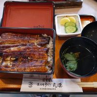 [鉄旅]青春18きっぷで、浜松にうなぎを食べに行ってみた。
