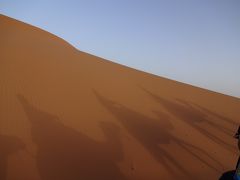マグレブ～日の沈む国　モロッコ旅行記⑤～イフレン～サハラ砂漠